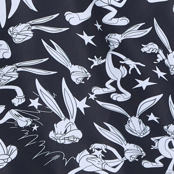 BNWT SS25 JIMMY LION x LOONEY TUNES BUGS BUNNY SWIM SHORTS S - Picture 12 of 12